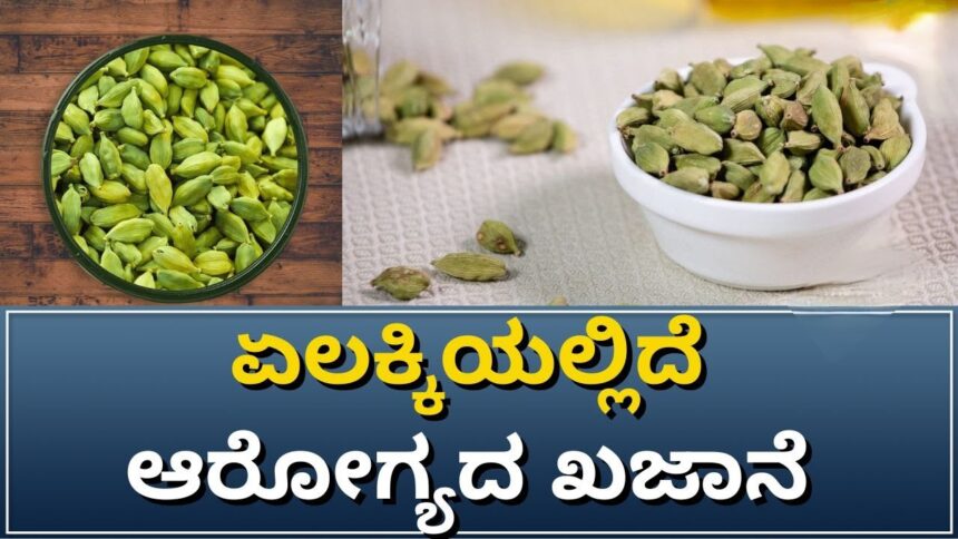 ದಿನಕ್ಕೊಂದು ಏಲಕ್ಕಿ ತಿನ್ನುವುದರಿಂದ ದೇಹದಲ್ಲಾಗುತ್ತೆ ಆರೋಗ್ಯ ಸುಧಾರಣೆ..!