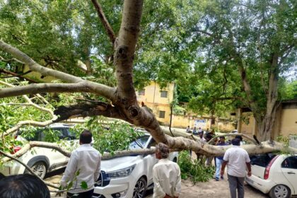 ಡಿಡಿಪಿಐ ಕಚೇರಿ ಆವರಣದಲ್ಲಿ ಮುರಿದುಭಿದ್ದ ಮರ : 3 ಕಾರು ಜಖಂ..!