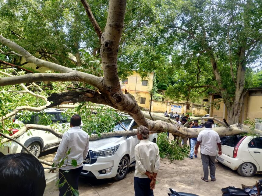 ಡಿಡಿಪಿಐ ಕಚೇರಿ ಆವರಣದಲ್ಲಿ ಮುರಿದುಭಿದ್ದ ಮರ : 3 ಕಾರು ಜಖಂ..!