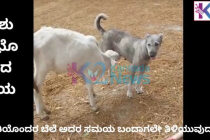 ಪ್ರತಿಯೊಂದರ ಬೆಲೆ ಅದರ ಸಮಯ ಬಂದಾಗಲೇ ತಿಳಿಯುವುದು…