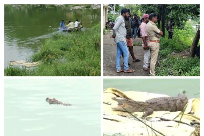 ಮೊಸಳೆ ಹಿಡಿಯುವ ಕಾರ್ಯ ಆರಂಭ : ತಂಡೊಪತಂಡವಾಗಿ ಆಗಮಿಸುತ್ತಿರುವ ಜನ..