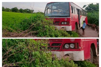 ಲಿಂಗಸುಗೂರು : ಚಾಲಕನ ಸಮಯಪ್ರಜ್ಞೆ ತಪ್ಪಿದ ದುರಂತ, ಸಾರಿಗೆ ಇಲಾಖೆ ವಿರುದ್ಧ ಅಸಮಧಾನ..