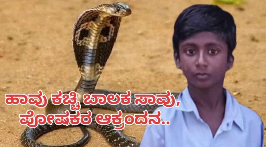 ಹಾವು ಕಚ್ಚಿ ಬಾಲಕ ಸಾವು, ಪೋಷಕರ ಆಕ್ರಂದನ..