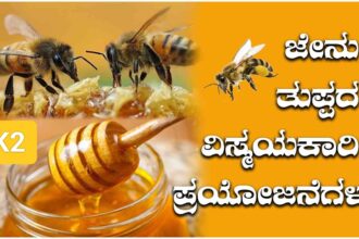 ಮದುಮೇಹ ಇರುವವರು ಇದನ್ನು ಓದಿ : ಜೇನು ತುಪ್ಪದ ಪೋಷಕಾಂಶಗಳ ಬಗ್ಗೆ..