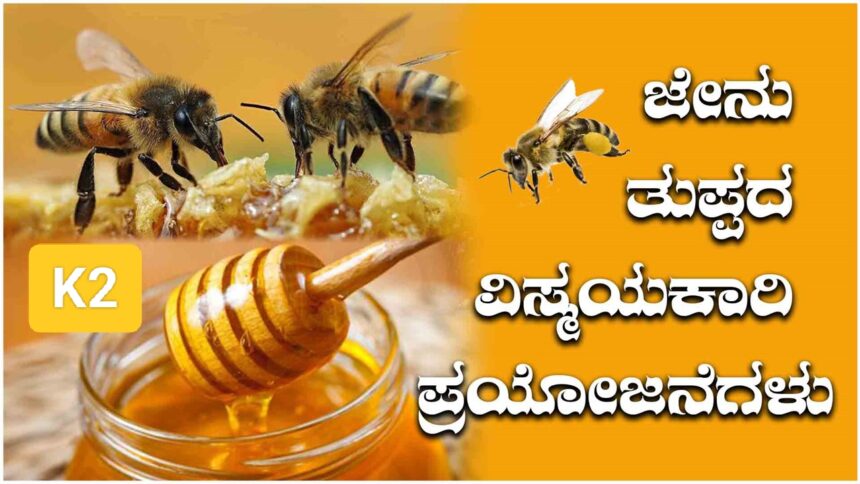 ಮಧುಮೇಹ ಇರುವವರು ಇದನ್ನು ಓದಿ : ಜೇನು ತುಪ್ಪದ ಪೋಷಕಾಂಶಗಳ ಬಗ್ಗೆ..