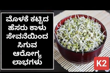 ಮೊಳಕೆ ಕಟ್ಟಿದ ಹೆಸರು ಕಾಳು ಸೇವನೆಯಿಂದ ಸಿಗುವ ಆರೋಗ್ಯ ಲಾಭಗಳು