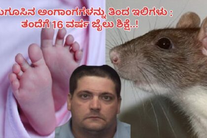 ಹಸುಗೂಸಿನ ಅಂಗಾಂಗಗಳನ್ನು ತಿಂದ ಇಲಿಗಳು : ತಂದೆಗೆ 16 ವರ್ಷ ಜೈಲು ಶಿಕ್ಷೆ..!