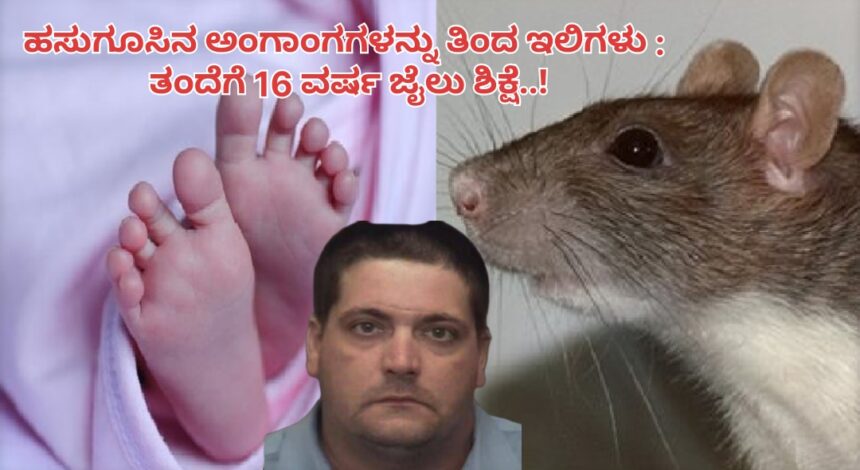 ಹಸುಗೂಸಿನ ಅಂಗಾಂಗಗಳನ್ನು ತಿಂದ ಇಲಿಗಳು : ತಂದೆಗೆ 16 ವರ್ಷ ಜೈಲು ಶಿಕ್ಷೆ..!