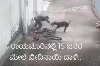 ಪಾಲಕರೇ ಎಚ್ಚರ : ಗಂಗಾನಿವಾಸ ಹಾಗೂ ಟ್ಯಾಂಕ್ ಬಂಡ್ 15 ಜನರ ಮೇಲೆ ಬೀದಿ ನಾಯಿಗಳ ದಾಳಿ