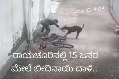 ಪಾಲಕರೇ ಎಚ್ಚರ : ಗಂಗಾನಿವಾಸ ಹಾಗೂ ಟ್ಯಾಂಕ್ ಬಂಡ್ 15 ಜನರ ಮೇಲೆ ಬೀದಿ ನಾಯಿಗಳ ದಾಳಿ
