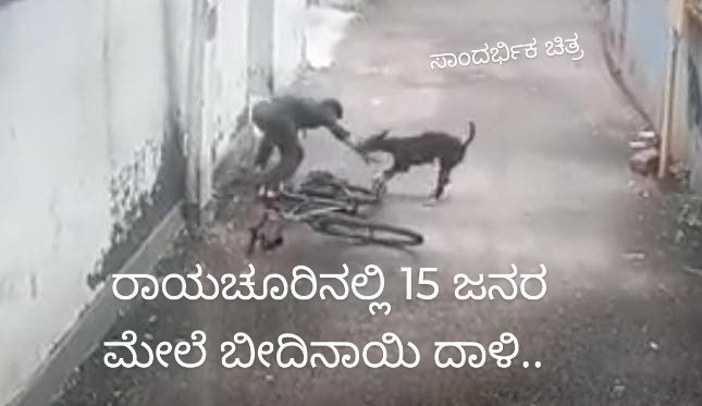 ಪಾಲಕರೇ ಎಚ್ಚರ : ಗಂಗಾನಿವಾಸ ಹಾಗೂ ಟ್ಯಾಂಕ್ ಬಂಡ್ 15 ಜನರ ಮೇಲೆ ಬೀದಿ ನಾಯಿಗಳ ದಾಳಿ