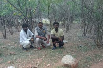 ಮಾನ್ವಿ ಪಟ್ಟಣದಲ್ಲಿ 15 ಅಡಿ ಉದ್ದದ ಹೆಬ್ಬಾವು ಪ್ರತ್ಯಕ್ಷ್ಯ