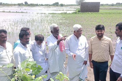 ಮಳೆ ಬೆಳೆ ಹಾನಿ ವೀಕ್ಷಣೆ ಮಾಡಿದ ಸಿಂಧನೂರು ಶಾಸಕ ಹಂಪನಗೌಡ ಬಾದರ್ಲಿ